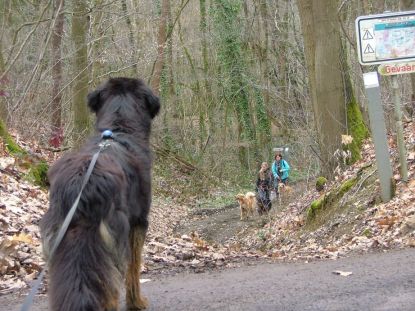 B'Elanna staat al ongeduldig te wachten...