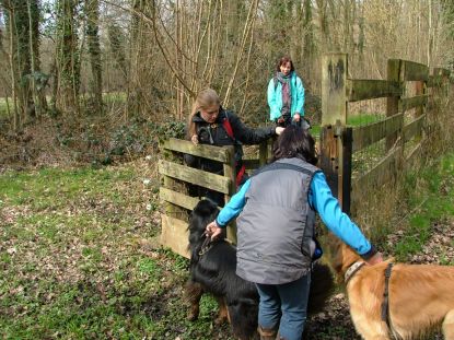 Moeilijke doorgang, maar beter dan schrikdraad!!