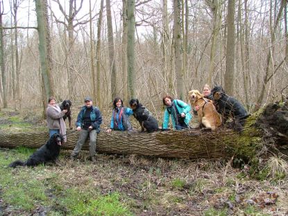 Bijna de hele groep samen.