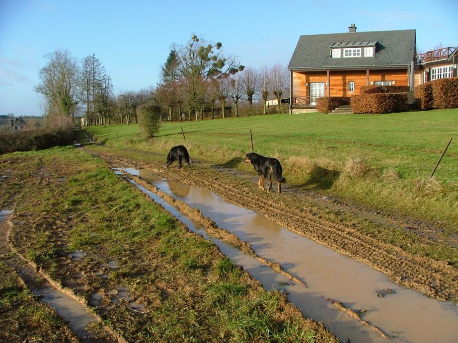 Modder genoeg, maar.. blauwe lucht!