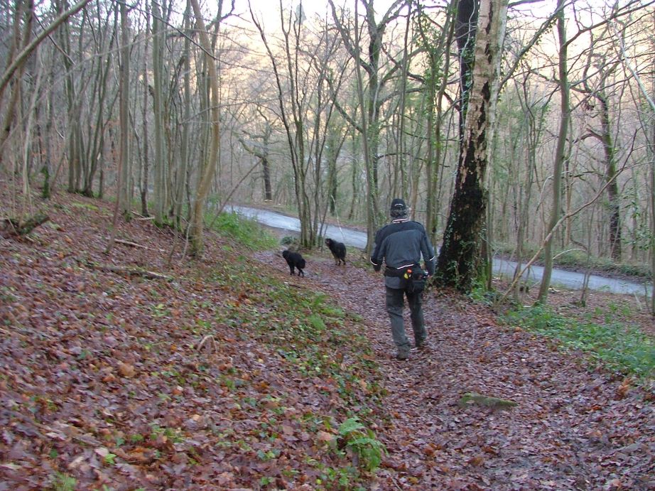 Verder dalen naar de Lesse en enkele malen deze weg oversteken.