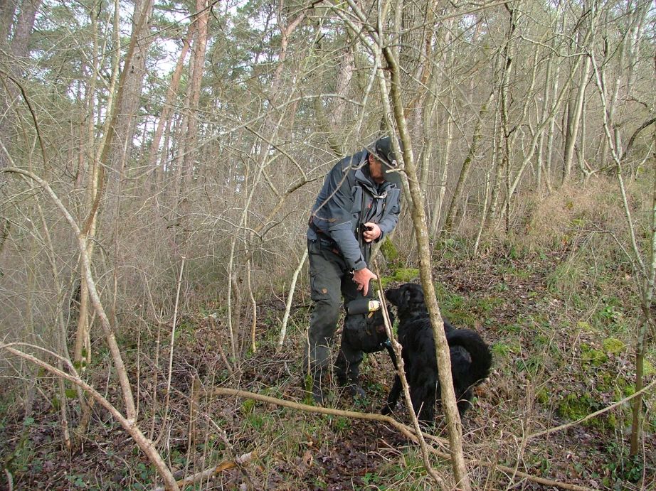 Veilig boven. De dorstigen laven en een weg naar beneden zoeken...