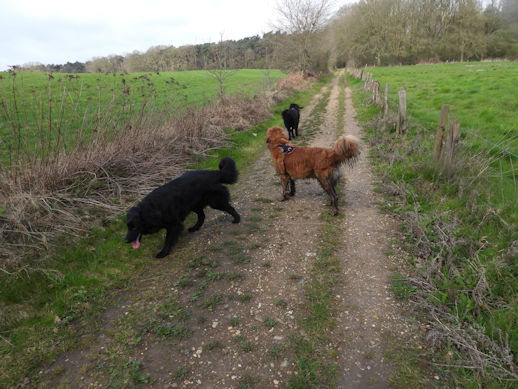 Lekker crossen in de open natuur.