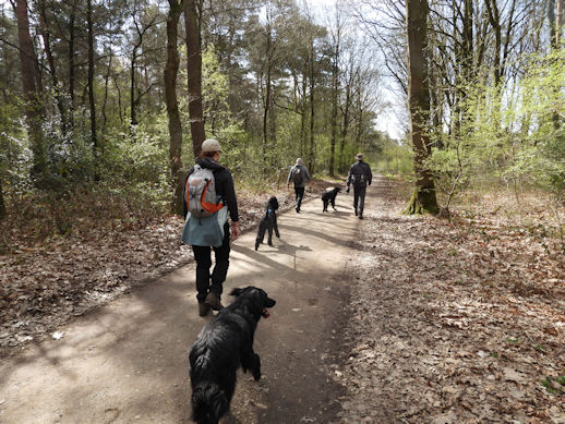 Het landschap bleef ons verbazen.