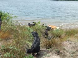 Een eerste zwempauze.