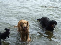 Axel onderging een vermageringskuur...(tijdelijk).