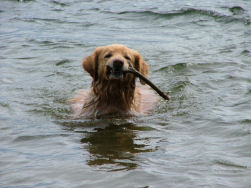 Axel kon zich nog eens uitleven!