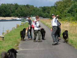 Is het een vliegtuig? Neen, een Roze Hovawart.