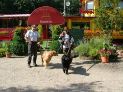 Het heeft gesmaakt...verder dan maar.