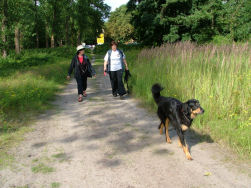 En de babbel gaat verder...