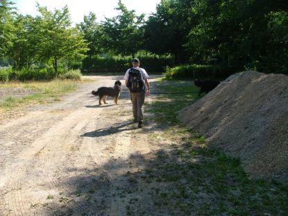 Start van de wandeling: Parking CC Roosenberg.
