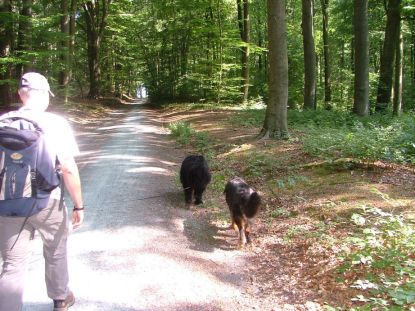 Hier liepen we al verkeerd...