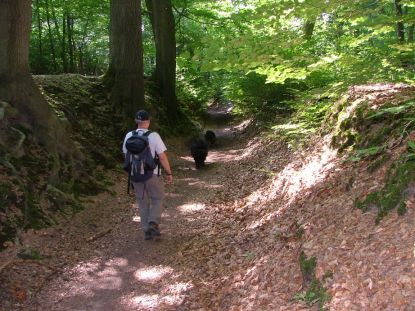 Frisse Holle wegen. Zalig!