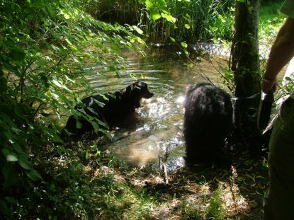 Tijd voor wat verkoeling.