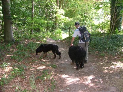 Tegenliggers in aantocht...