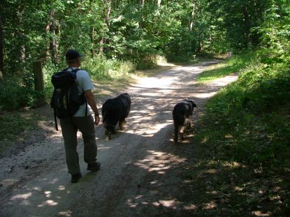 Voldoende schaduw voor de hondjes. Het was nodig!