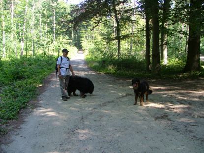 Niet moeilijk met die verharde wegen.
