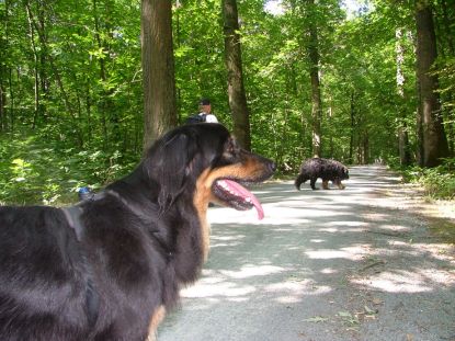 Een hap en hij is op...