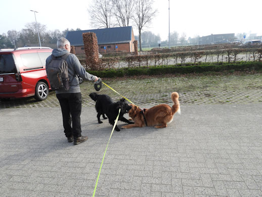 Wachten op Ronald... Maar niet lang!