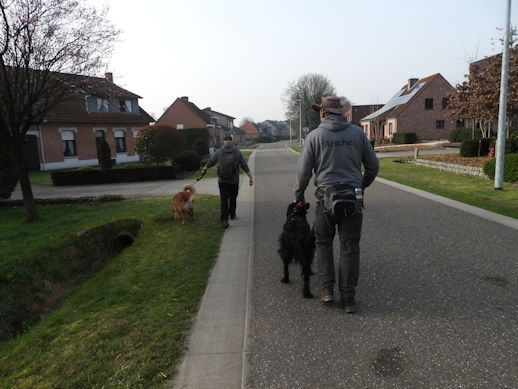 Start van de wandeling...Asfalt.