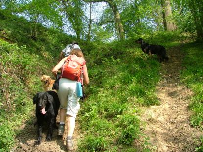 Even stevig Bergop...