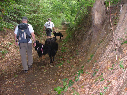 Holle weg in, variatie troef!