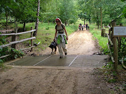 De schapen kunnen hier niet over, voor de Hovawartjes was het geen probleem.