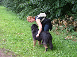 Een Hovawart houdt van aandacht!