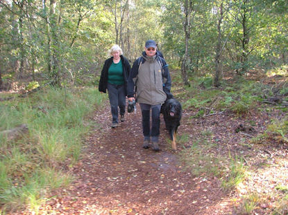 Toch veel variatie in het landschap.