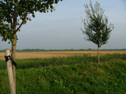Het platte land van Nederland.