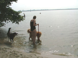 Het water lijkt toch wat te koud...