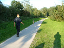 Gezellig wandelen langs het hondenstrand.