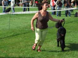 Marleen en Dante blijven maar lopen.