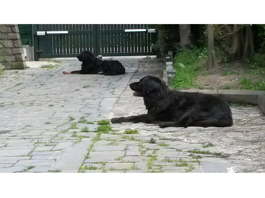 Mijn nieuwe thuis met Dunja.