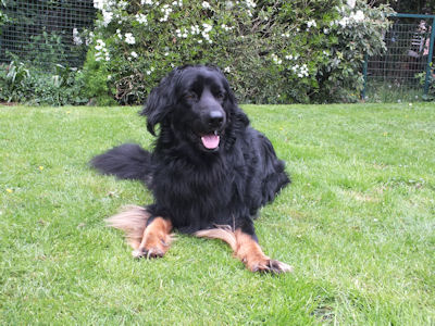 Aiko, de driejarige bink!