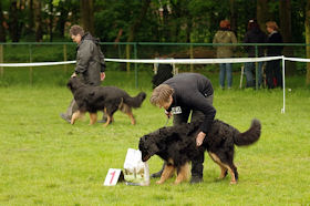 Aiko is wat fier op mama Aleiga!