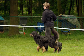 Mama Aleiga geeft het beste van zichzelf.