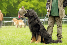 Awel... deed ik het goed??!!