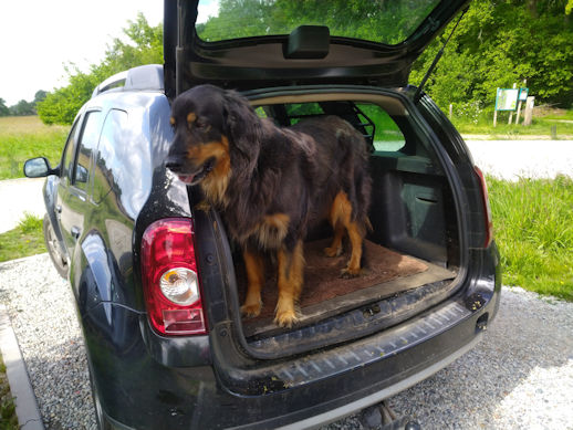 Waar zit die Aiko toch??!!