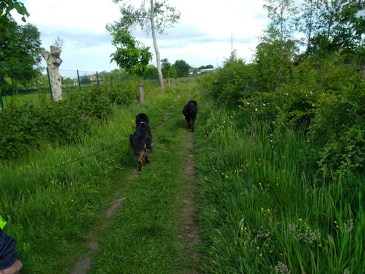 Lekker op de wandel!!!