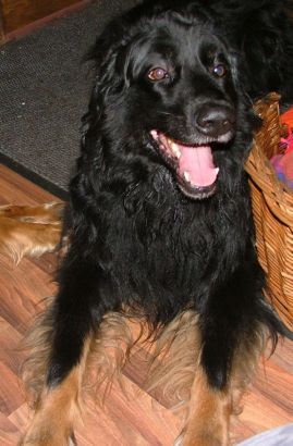 Aiko's nieuwe start...