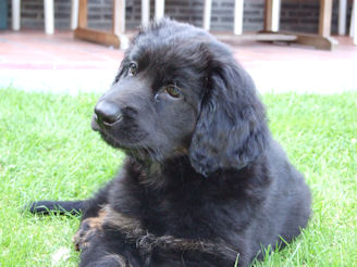 Aiko, hmmmmm... dat bevalt me wel!!