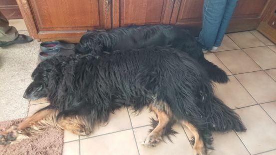 Als het te warm is... RUSTEN!