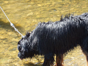 Hola... is da nu water??!!