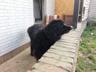 Waar zit die teef??!!