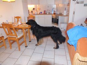 Aiko heeft ook honger...