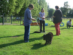 Ach so, ICH muss hier Arbeiten!