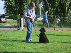 Da drausen ist es auch interessant!