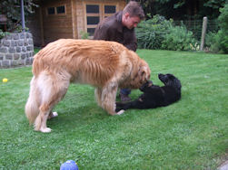 Ach nee, noch einen R�den...