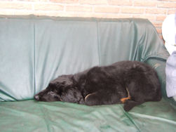 Mein Sessel! Versuch mal mich raus zu kriegen...